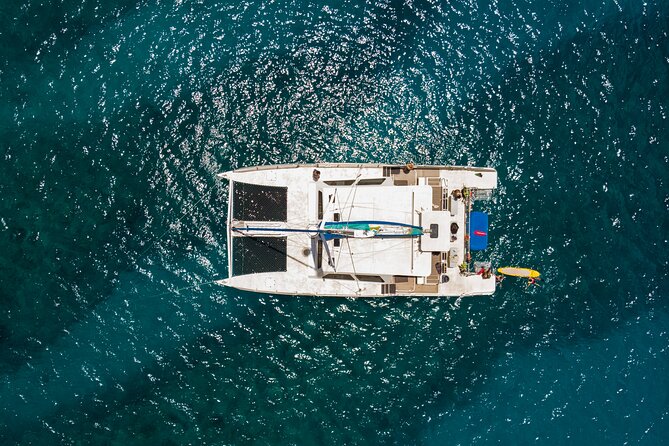 Hawaiian Sea Turtle Snorkel Sail From Waikiki With Lunch Included - Snorkeling Experience