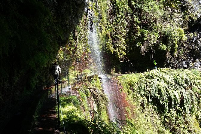 Hike in Laurisilva Levada Do Rei - Madre of Life Small Group Guided Walk - Exclusions