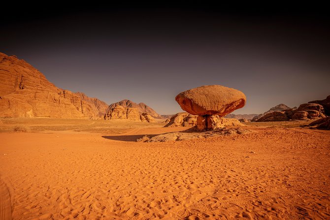 Horse Riding 2 Hours Tour in Wadi Rum - Meeting and Arrival