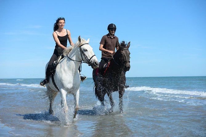 Horse Riding -Evening- in Paros - Evening Activities