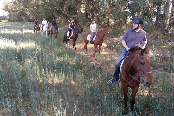 Horse Riding Excursion From Seville - Additional Information