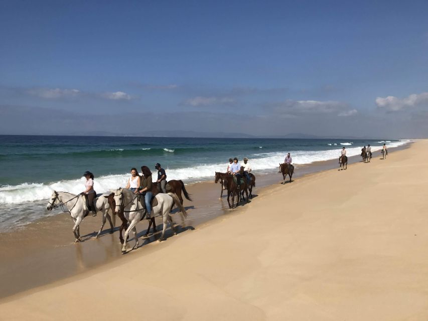 Horse Riding on the Beach With Private Transfer From Lisbon - Exclusions