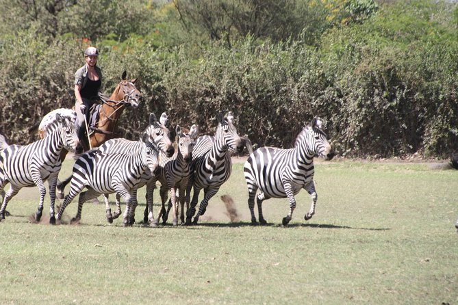 Horse Safaris in Tanzania - Reviews and Ratings