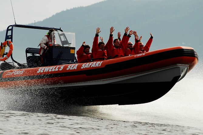 Howe Sound Sea Safari Cruise - Recommended Attire and Precautions