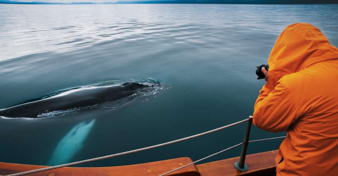 Húsavík: Whale Watching on a Carbon Neutral Oak Boat - Traditional Oak Boat