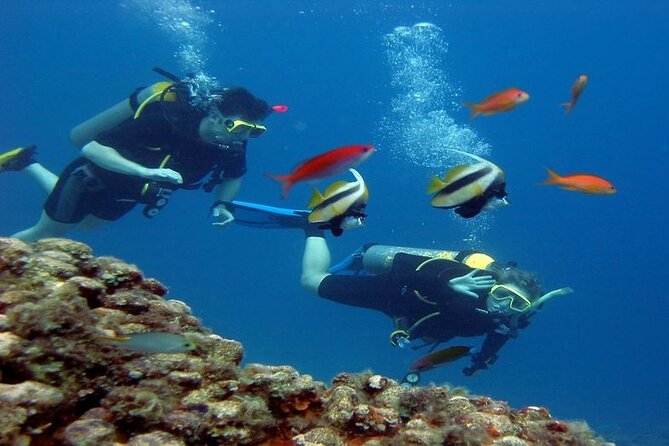 Intro Diving for Beginners 2 Stops Diving With Lunch in Hurghada - Pickup Details