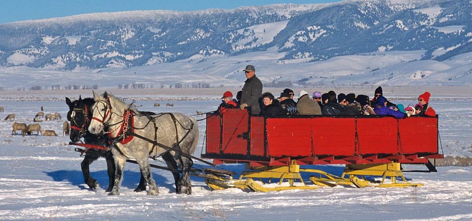 Jackson: Grand Teton and National Elk Refuge Winter Day Trip - Inclusions and Exclusions