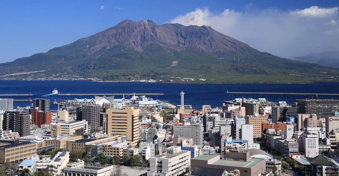 Kagoshima Half-Day Sightseeing Tour Review - Transportation and Accessibility