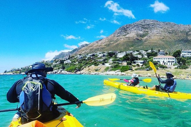 Kayak to the Penguins in Simons Town - Booking Information