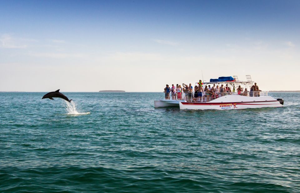 Key West: Dolphin & Snorkel Boat Tour With Sunset Option - Dolphin Viewing