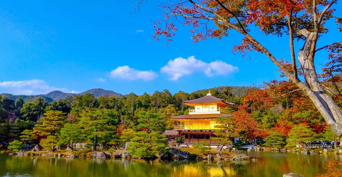 Kyoto: Private Customizable Day Trip by Car - Convenient Transportation and Experience