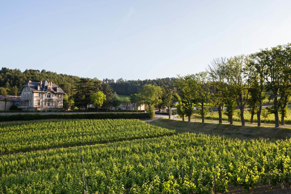 Languedoc: Tour and Tasting at Domaine De Baronarques - Tour the Winery and Cellars