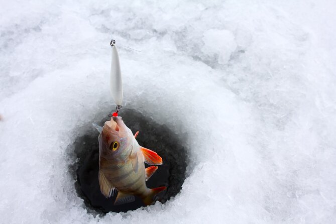 Lapland Ice Fishing Experience From Rovaniemi - Inclusion and Amenities