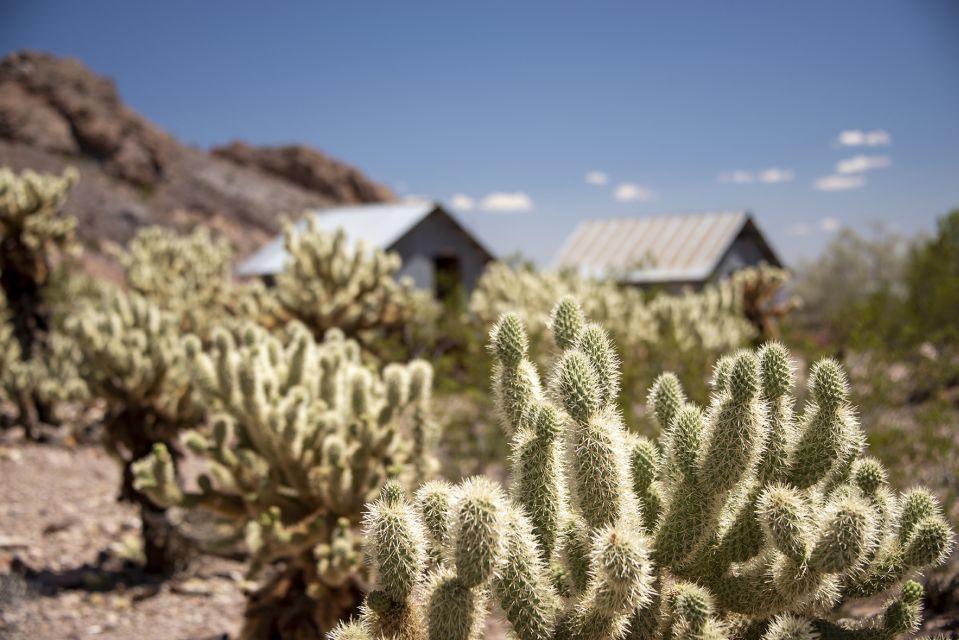 Las Vegas: Eldorado Canyon Gold Mine Tour - Photographing Colorado River Views