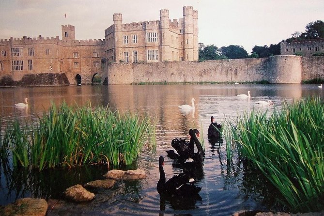 Leeds Castle, Canterbury and White Cliffs of Dover Private Car Tour - Customer Reviews