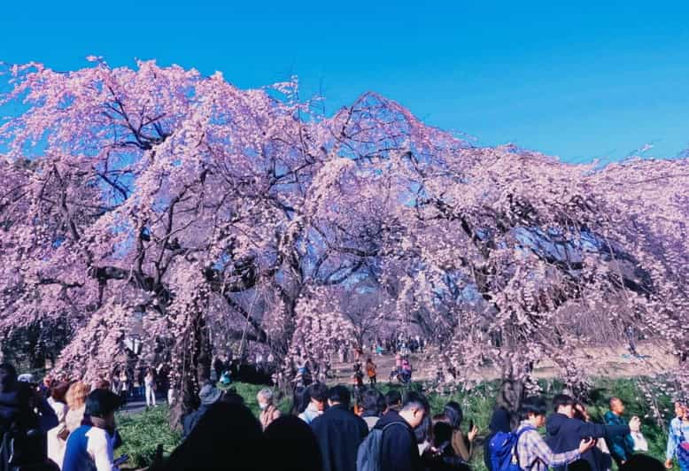 Licensed Guide Shinjuku Dramatic Tour Day Time - Cancellation Policy