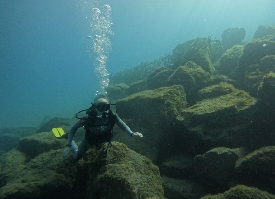 Los Cristianos: Basic Diver Course - Eligibility and Requirements