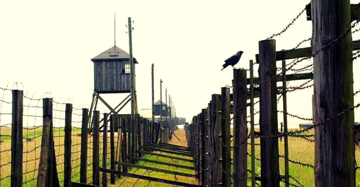 Lublin & Majdanek Small-Group Tour From Warsaw With Lunch - Historical Significance of Lublin