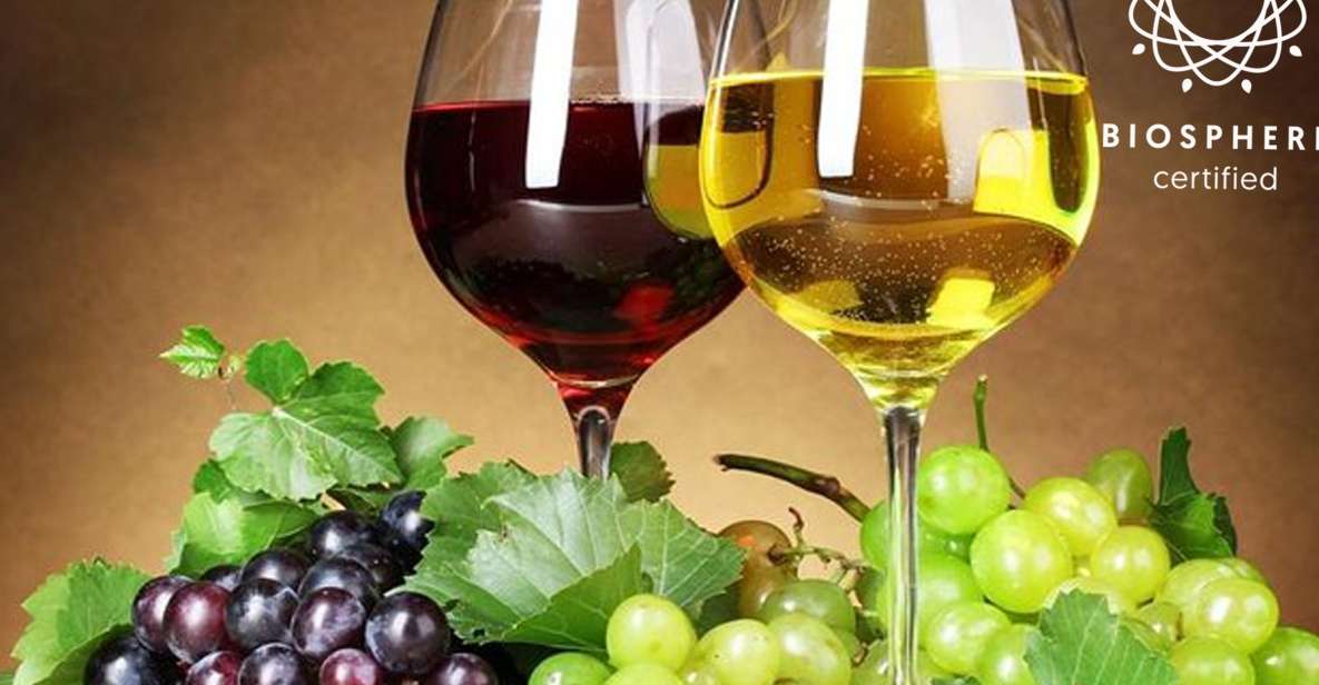 Madeira: Wine Tasting Experience Honey Museum and Cabo Girão - Winery Wine Tasting Adventure