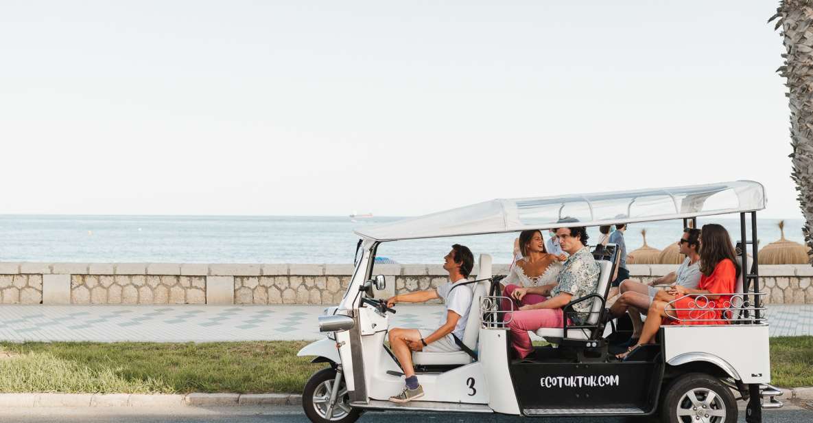 Malaga: Private City Tour by Eco Tuk Tuk - Inclusions and Exclusions