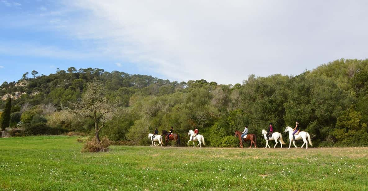 Mallorca: Activity, Antique Mallorca With Picnic - Picturesque Picnic Experience