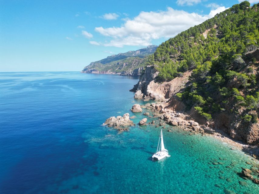 Mallorca: Beautiful Sailing Tour on Small Privat Catamaran - Highlights and Experiences