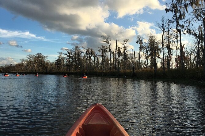 Manchac Swamp Kayak Small-Group Tour - Preparation and Safety