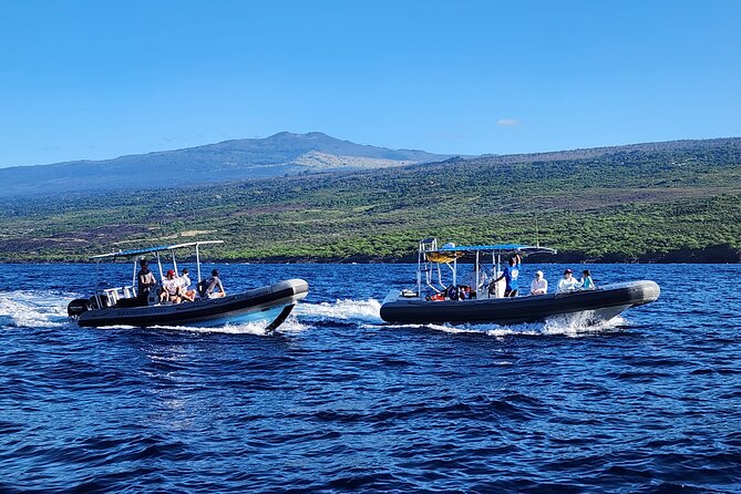 Manta Ray Night Snorkel at Kona, Big Island - Tour Highlights and Crew