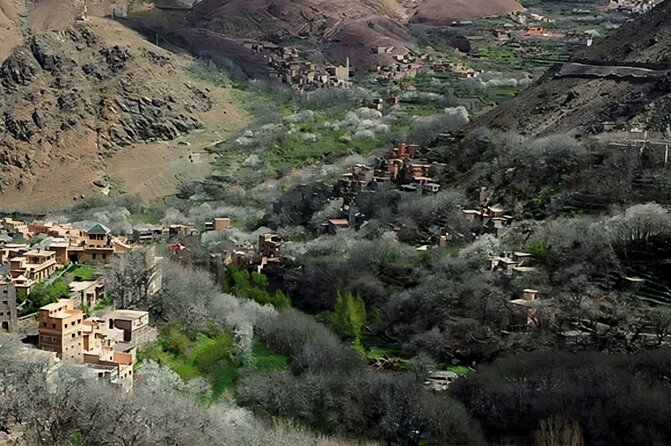 Marrakech Guided Tour Atlas Mountains, Berber Village, Agafay - Departure Time and Cancellation Policy