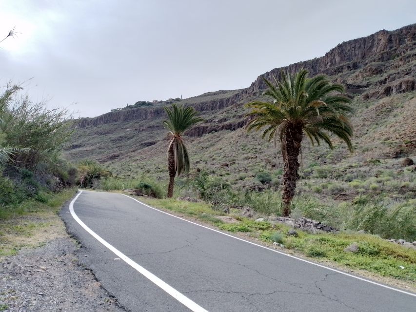 Maspalomas: Southern Coast E-Bike Tour Option Tapas Tasting - Tour Inclusions