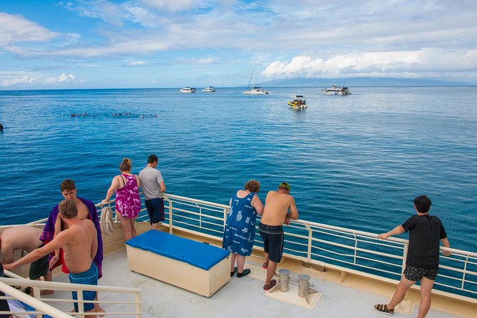 Molokini and Turtle Arches Snorkeling Trip From Maalaea Harbor - Guided Tours and Environmental Note