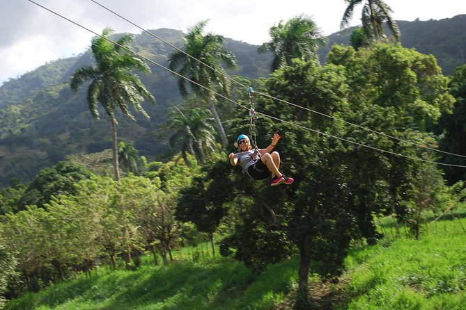 Monkeyland and Zipline Adventure From Puerto Plata - Customer Reviews