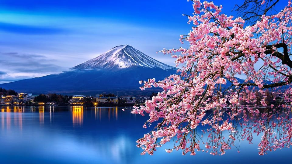 Mount Fuji and Hakone Full-Day Private Tour - Tour Experience