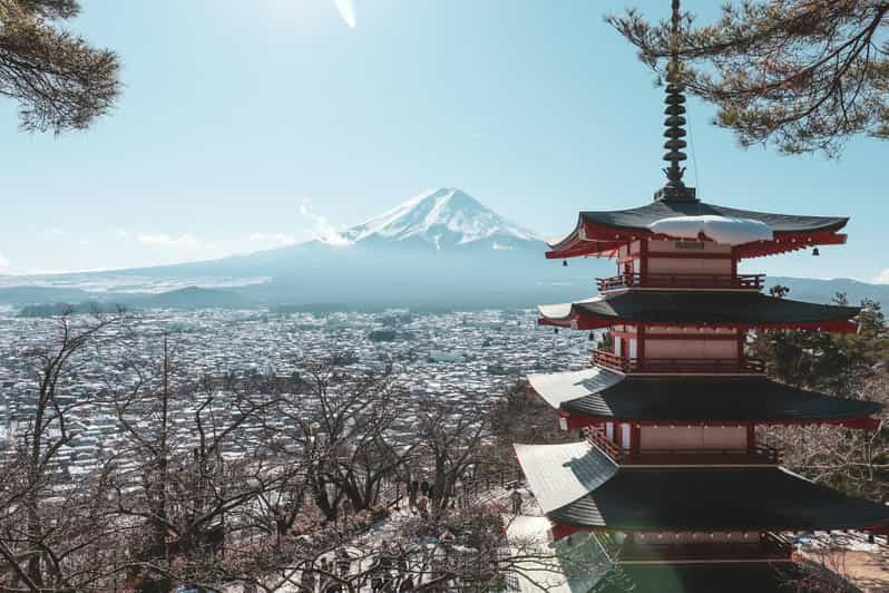 Mount Fuji Best Sightseeing Private Tour With Guide - Transportation and Services