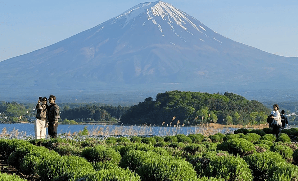 Mount Fuji Full Day Private Tour Review - Pickup and Drop-off Locations