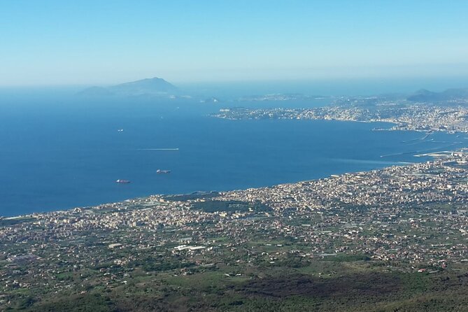 Mount Vesuvius Tour by Bus and Ticket Included From Ercolano - Transportation Provided