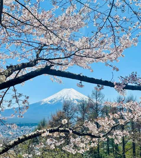 Mt. Fuji and Hakone Lake Ashi Day Tour With Pickup & Dropoff - Tour Features