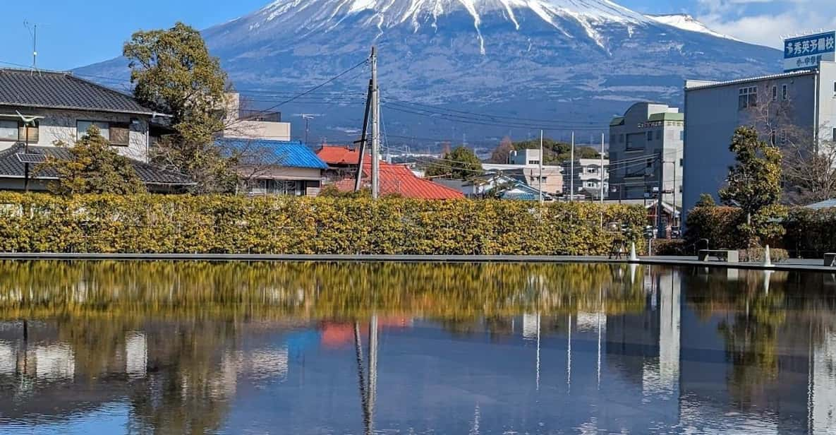 Mt.Fuji Private Tour by Car With Pick and Drp From Tokyo - Inclusions and Accessibility