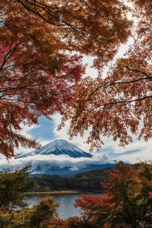 Mt Fuji : Unforgettable Tour With English Tour Guide - Meeting Point and Requirements