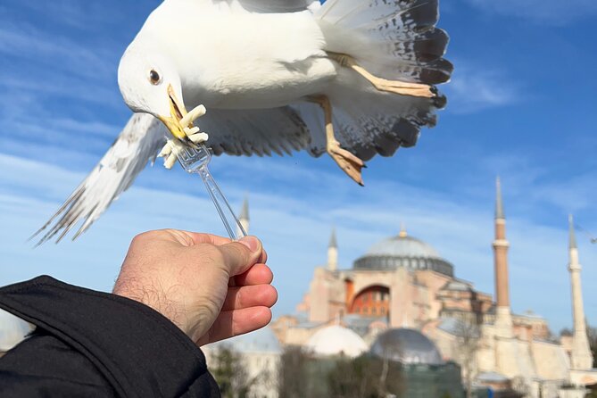 Multi 2 Days Private Guided Istanbul Top Highlights City Tour - Pickup and Accessibility