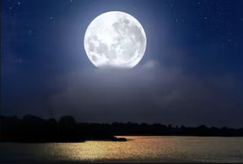 Murrells Inlet Beneath the Moonlight - Vessel Information