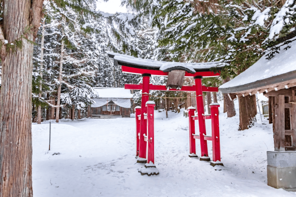 Nagano: Snow Monkeys, Zenkoji Temple - Customer Reviews