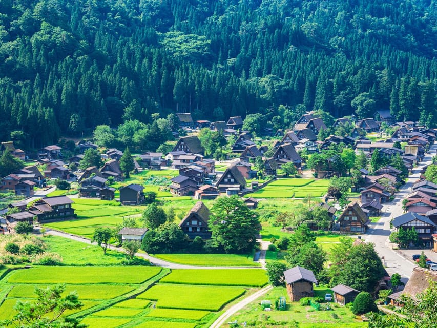 Nagoya: Shirakawa-go, Gujo, Hida Takayama Historic Day Tour - Seasonal Scenery and Local Culture