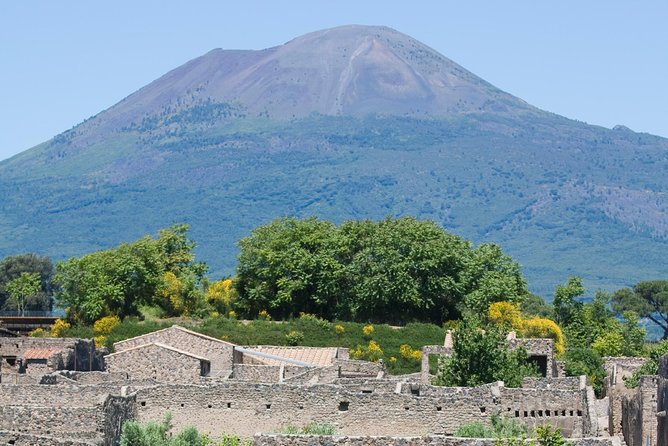 Naples City and Pompeii Half-Day Sightseeing Tour From Sorrento - Guided Tour of Pompeii