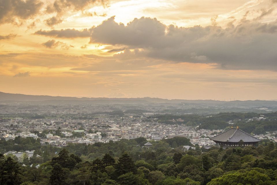 Nara Like a Local: Customized Guided Tour - Meet Your Guide