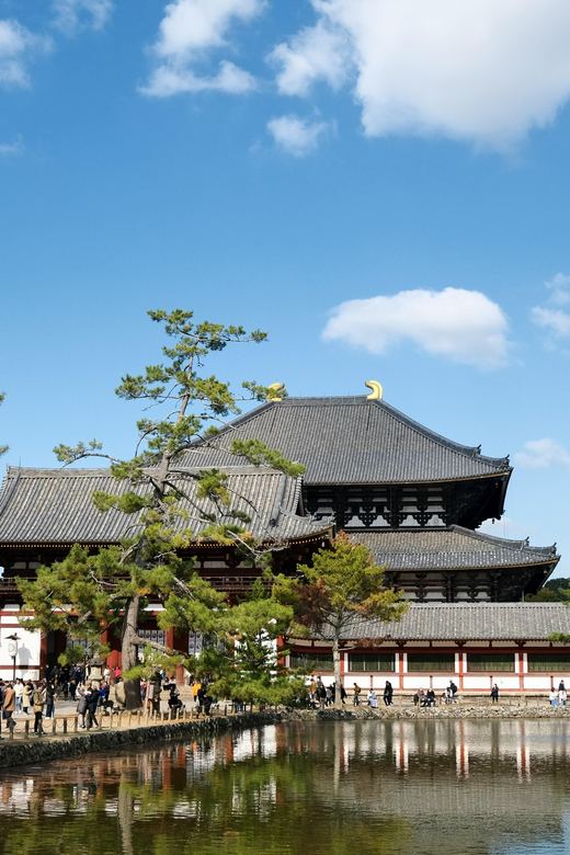 Nara Private Full Day Tour With a Culinary Guide - Culinary Experience