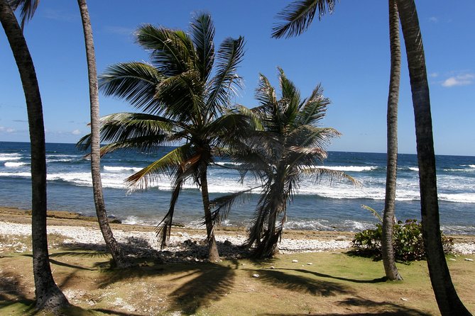 Natural Wonders of Barbados Small-Group or Private Tour With Harrisons Cave - Tranquil Bathsheba Beach and Surf