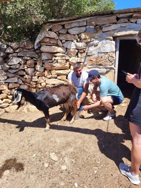 Naxos: Private E-Bike Tour With Lunch Ode-Yssey Uncharted - Included Amenities