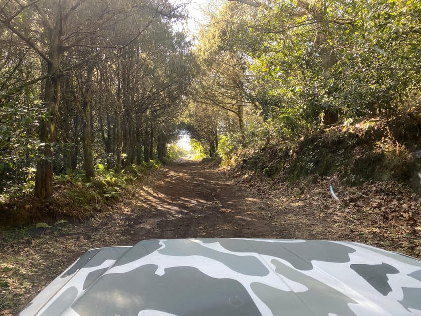 North-East Madeira Jeep Safari Tour for the Nature Lovers - Off-road Adventure in Cabanas