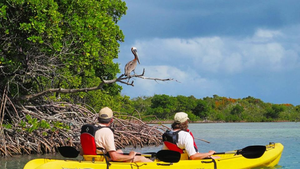 North Miami: Nature & Island Exploration on SUP/Kayak - Tour Details and Itinerary